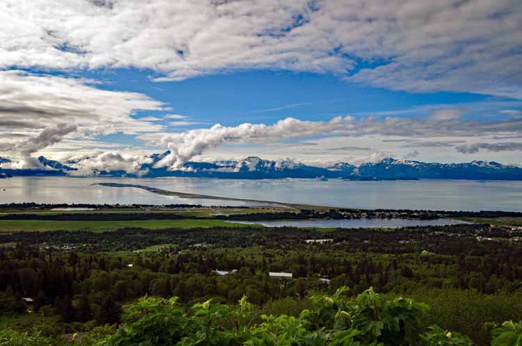 homer spit from above